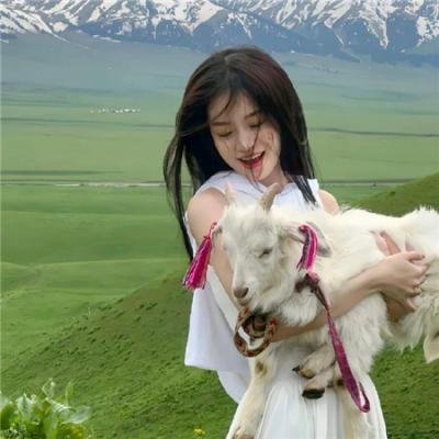 王牌新主播